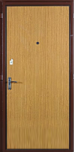 Ламинированная дверь DZ18
